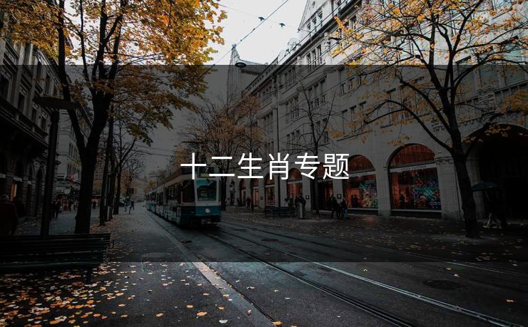 十二生肖专题 十二生肖专题