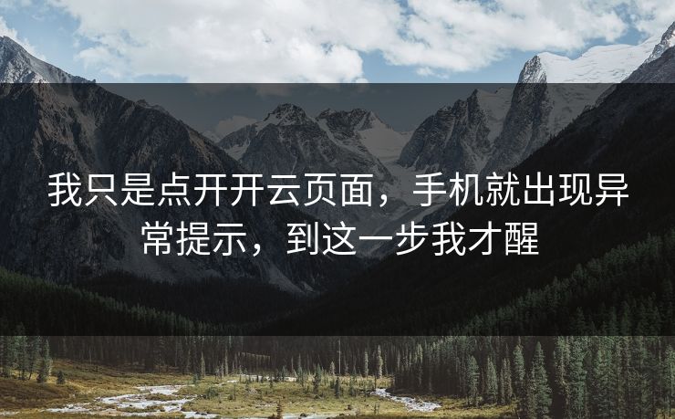 我只是点开开云页面，手机就出现异常提示，到这一步我才醒